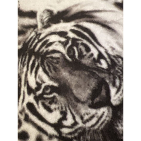 ALBA SAFARI Women Size 10 Tigers Tall Heel Platform Shoes Stilettos Dancer Club - Picture 11 of 12